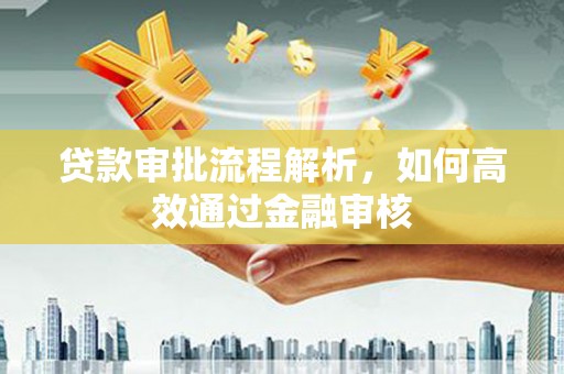 平果贷款审批流程解析，如何高效通过金融审核