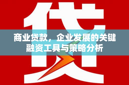平果商业贷款，企业发展的关键融资工具与策略分析