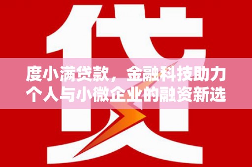 平果度小满贷款，金融科技助力个人与小微企业的融资新选择