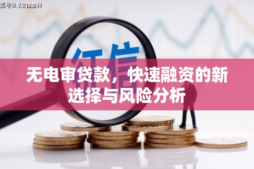 平果无电审贷款，快速融资的新选择与风险分析