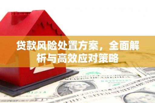 平果贷款风险处置方案，全面解析与高效应对策略