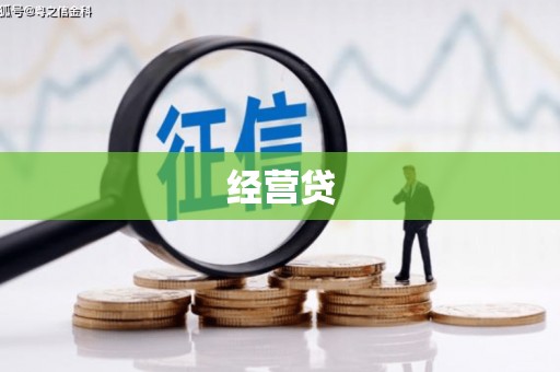 平果经营贷