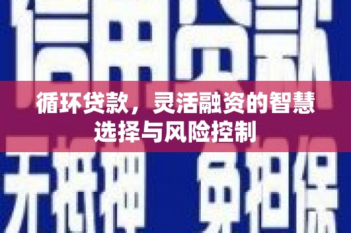平果循环贷款，灵活融资的智慧选择与风险控制