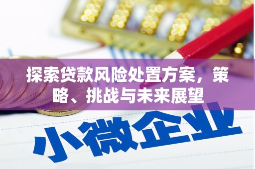 平果探索贷款风险处置方案，策略、挑战与未来展望