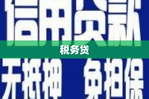 平果税务贷