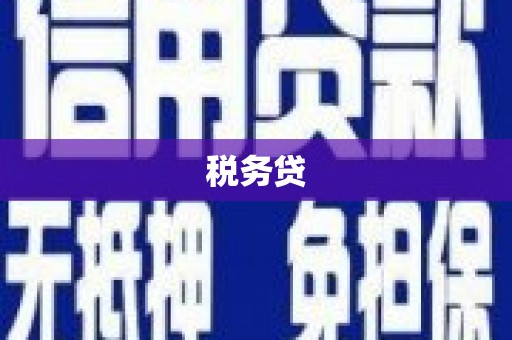 平果税务贷