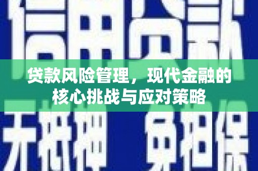 平果贷款风险管理，现代金融的核心挑战与应对策略