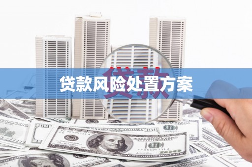 平果贷款风险处置方案