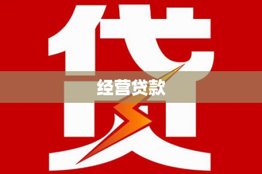 平果经营贷款
