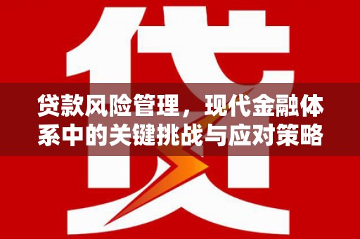 平果贷款风险管理，现代金融体系中的关键挑战与应对策略