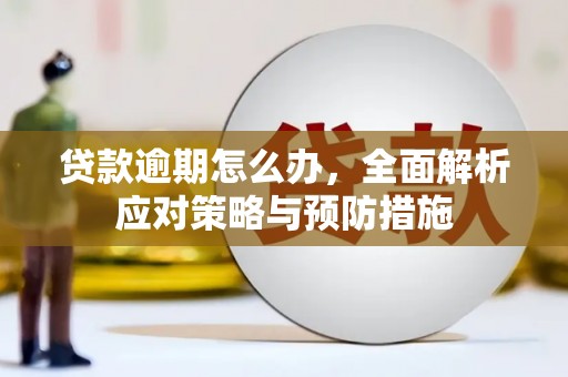平果贷款逾期怎么办，全面解析应对策略与预防措施