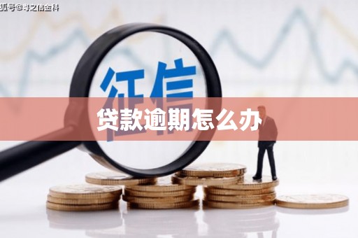 平果贷款逾期怎么办