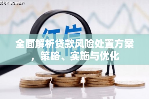 平果全面解析贷款风险处置方案，策略、实施与优化