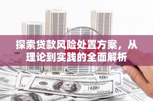 平果探索贷款风险处置方案，从理论到实践的全面解析