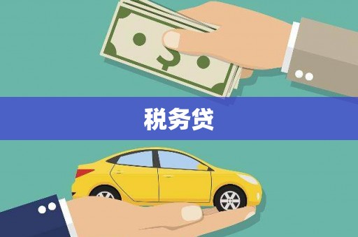 平果税务贷