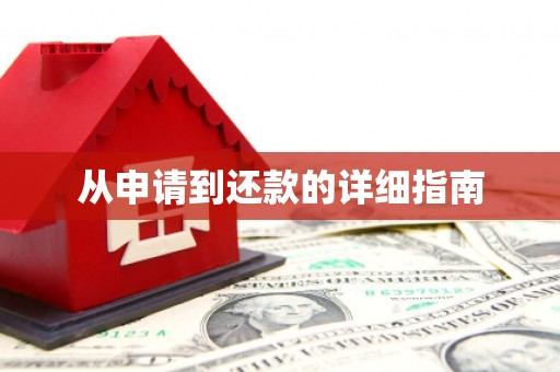 平果从申请到还款的详细指南