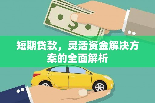 平果短期贷款，灵活资金解决方案的全面解析