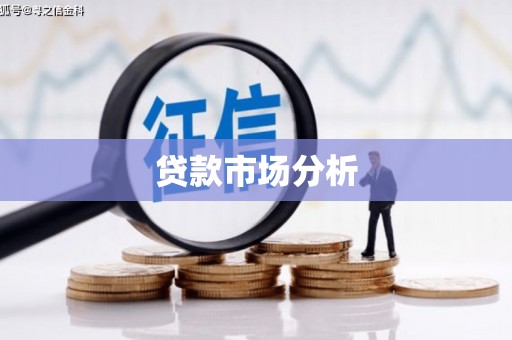 平果贷款市场分析