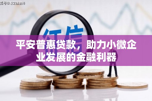 平果平安普惠贷款，助力小微企业发展的金融利器