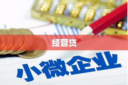 平果经营贷