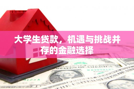 平果大学生贷款，机遇与挑战并存的金融选择