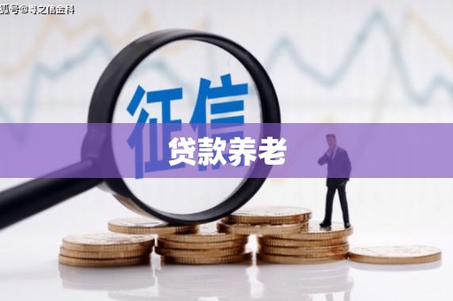 平果贷款养老