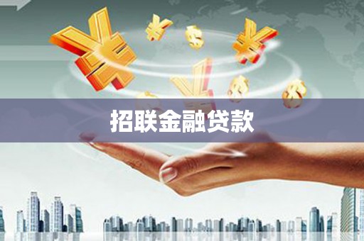 平果招联金融贷款