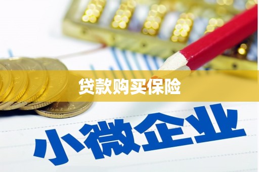 平果贷款购买保险
