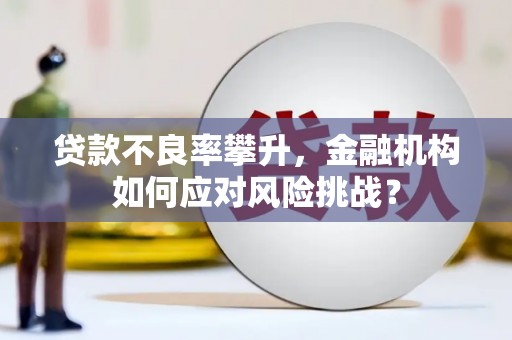 平果贷款不良率攀升，金融机构如何应对风险挑战？