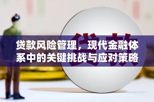 平果贷款风险管理，现代金融体系中的关键挑战与应对策略