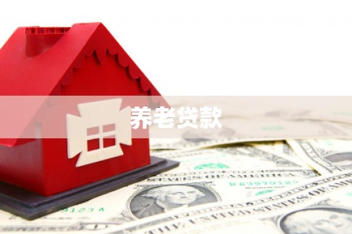 平果养老贷款