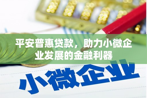 平果平安普惠贷款，助力小微企业发展的金融利器