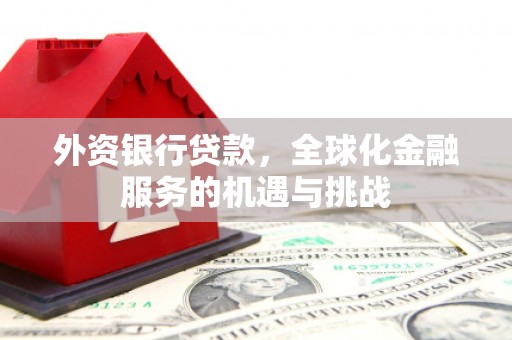平果外资银行贷款，全球化金融服务的机遇与挑战