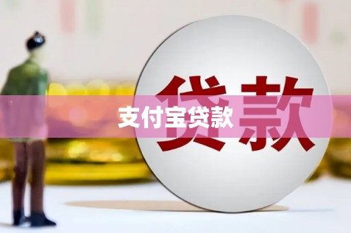 平果支付宝贷款