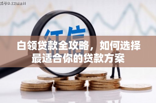 平果白领贷款全攻略，如何选择最适合你的贷款方案